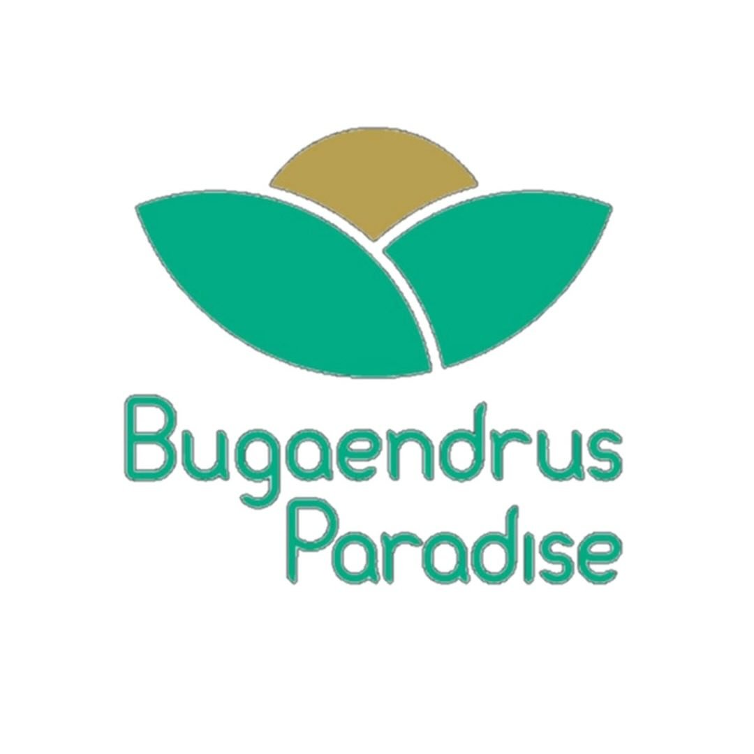 Logo Bugaendrus Paradise